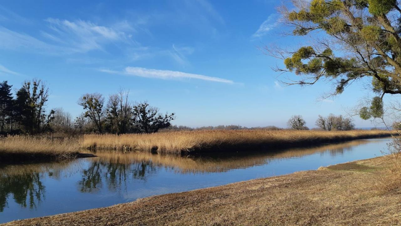 Hotel Am See Хард Екстериор снимка